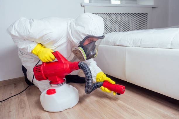 Best Pest Control Near Me in New Hackensack, NY