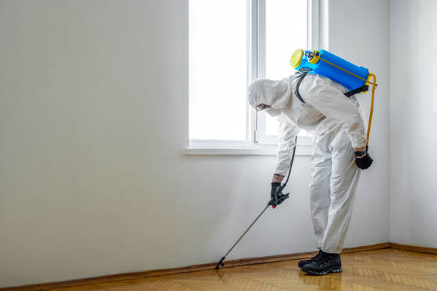 Best Best Pest Control Near Me  in New Hackensack, NY